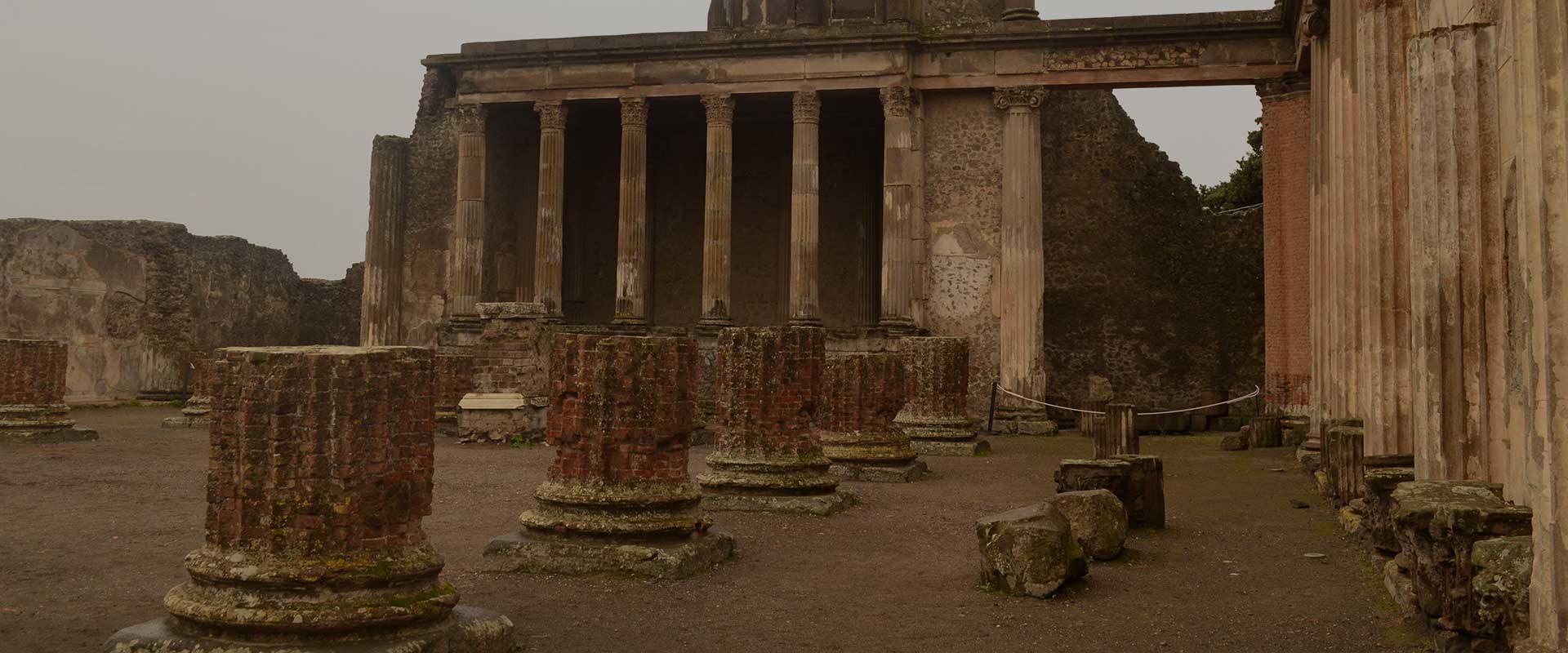 Newsletter: Thirty Third Sunday of Ordinary Time Newsletter: Thirty Third Sunday of Ordinary Time