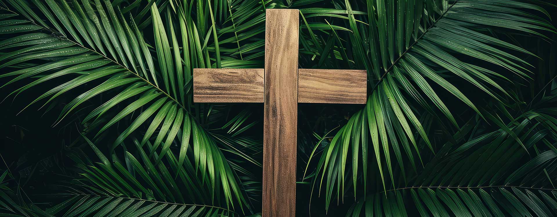 Newsletter: Palm Sunday